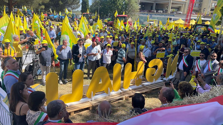 Gallo alla mobilitazione Coldiretti Calabria 