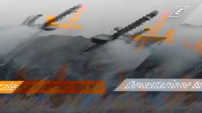L'Inferno di Albidona: un Incendio durato sei giorni che ha devastato il territorio
