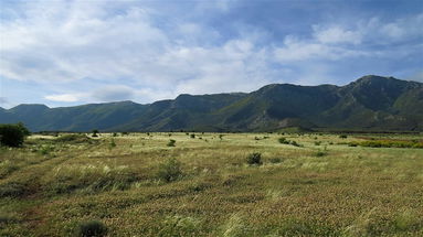 La Fascia Pedemontana – Lande parasteppiche di Castrovillari una riserva naturale preziosa per tutta la Calabria