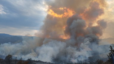 Alto Jonio nuovamente in preda alle fiamme: vasto incendio tra Oriolo e Montegiordano
