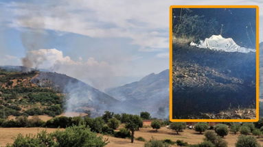 Brucia la Calabria del nord-est: un morto tra le fiamme a Cassano Jonio