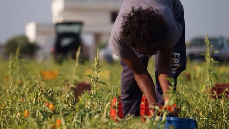 Dramma nei campi, muore un bracciante di Crosia