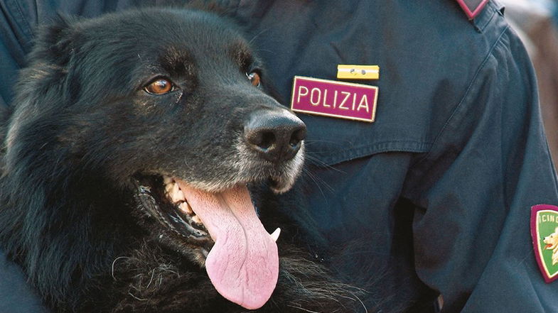 Polizia di Stato, #senontiportononparto. Lo spot contro l'abbandono degli animali