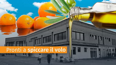 Rilancio Aeroporto Sant’Anna di Crotone: Ecco il progetto “Hub Fruit Logistic Air Cargo”