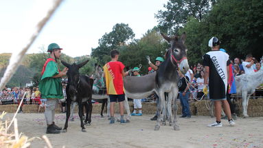 Laino Borgo, grande attesa per la 25esima edizione del Palio cu i Ciucci