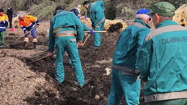 Calabria Verde, Snalv Confsal chiede stipendi giusti per i lavoratori della Sorveglianza Idraulica