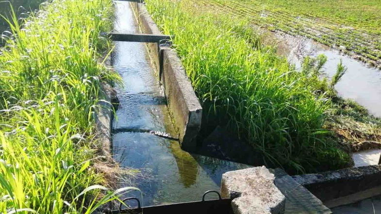 Il Consorzio di Bonifica torna a pompare acqua nei campi. Pericolo siccità scongiurato