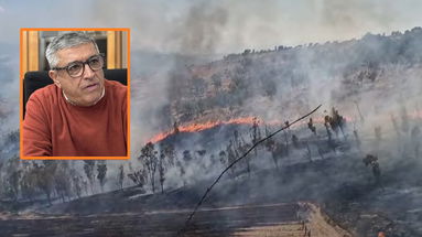 Tre incendi in poche ore a Cassano, Papasso invoca la galera per «i piromani maledetti»