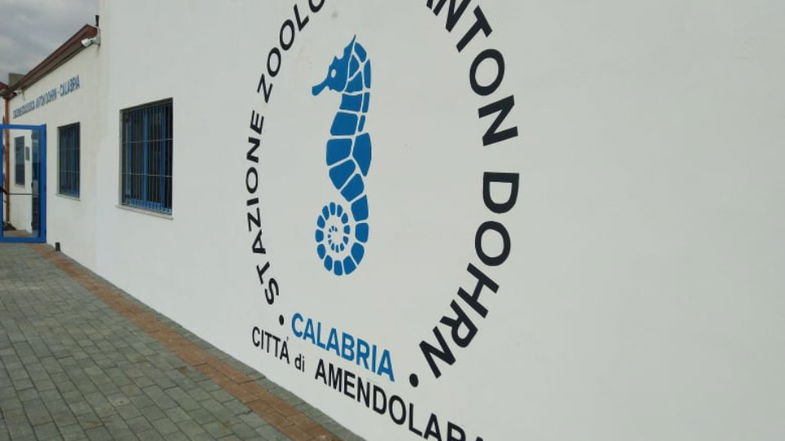 Scienziati da tutto il mondo per osservare il