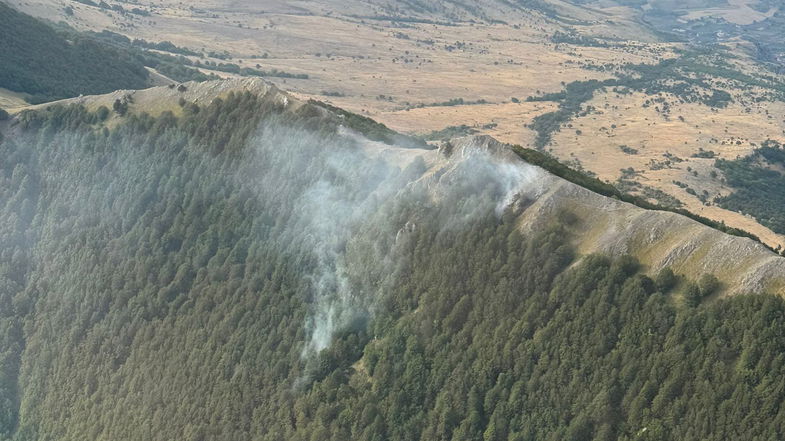 Un fulmine si abbatte sul Pollino e innesca un incendio: a rischio i Pini Loricati