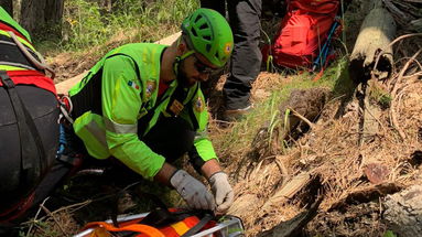 Ritrovati i due escursioni dispersi nel Parco della Sila: stanno bene