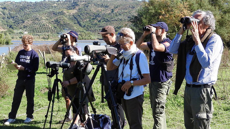 Eurobirdwatch, l'evento internazionale si terrà anche nelle oasi e riserve della Lipu della Calabria