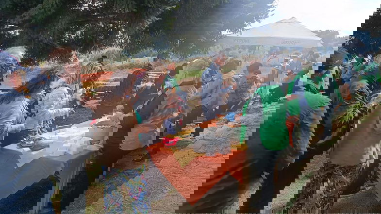 Il