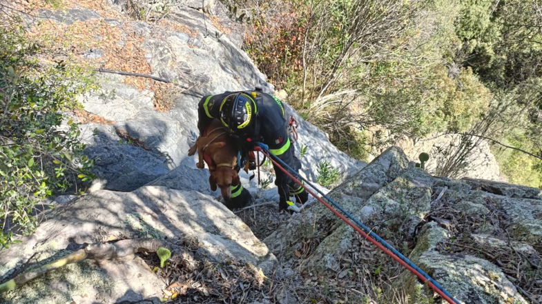 Due cani scivolano in un burrone durante una battuta di caccia: salvati dai Vigili del Fuoco