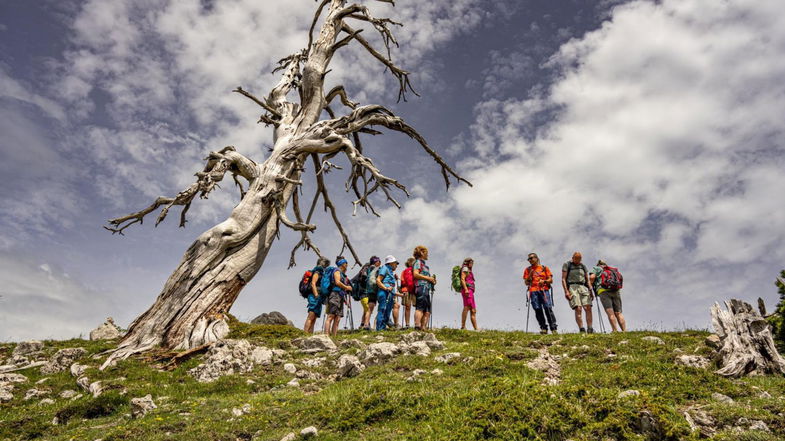 Cammina Natura: parte il weekend di escursioni per scoprire la Calabria