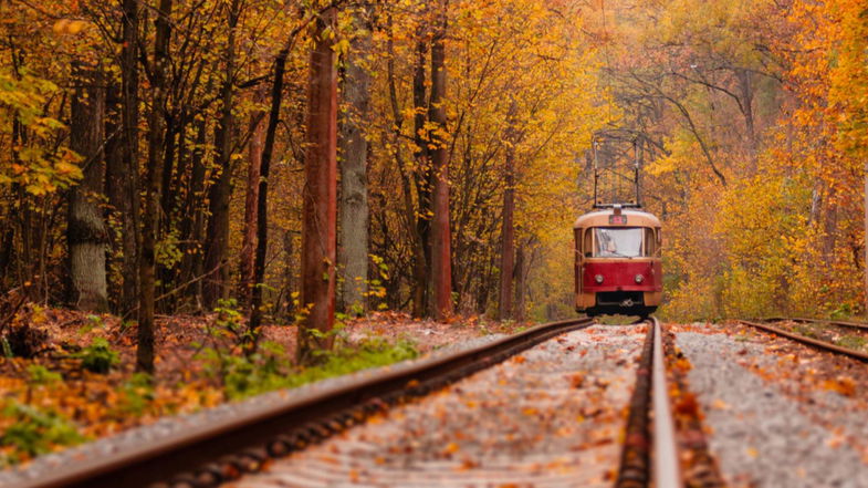 Lo spettacolo del foliage visto dal treno: anche la Sila tra le tappe di Trainline