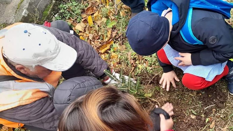 Giornata dell'Albero, i bimbi di Frascineto mettono a dimora diverse piantine