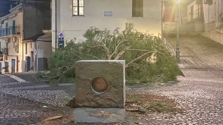 Viene giù l'albero di Natale, paura a Crosia