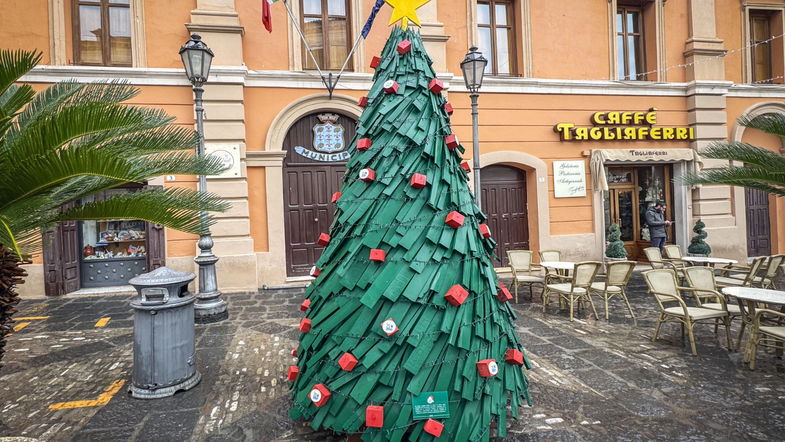 Gli alberi di Natale di Ecoross che fanno bene all’ambiente