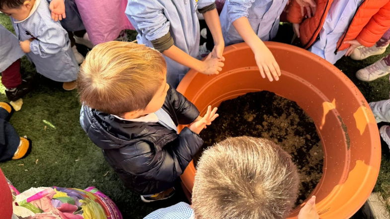 I bimbi della Magnolia piantano un ulivo e scoprono l'importanza dell'olio Evo