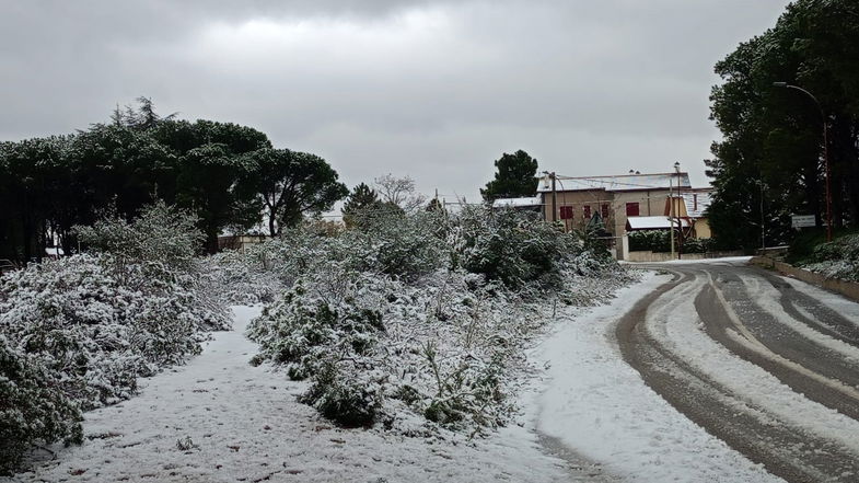 Stamattina è arrivata la prima neve ad imbiancare la Sila Greca