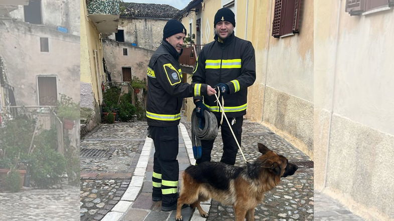 Cane finisce in un dirupo: salvato da due Vigili del Fuoco di Co-Ro