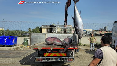 Guardia Costiera, nel 2024 sequestrate 6 tonnellate di prodotti ittici