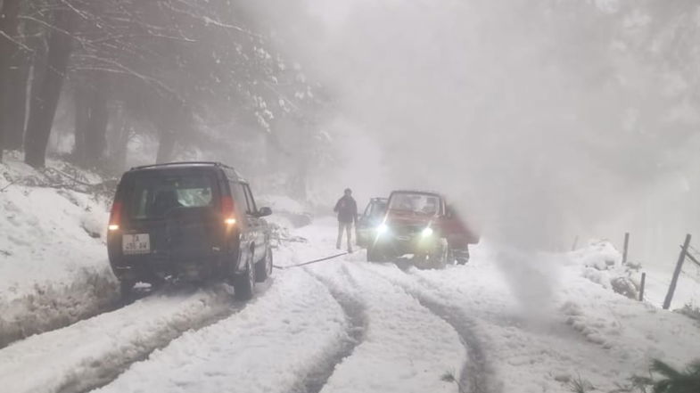 Ancora disagi a causa delle neve: gli alberi caduti bloccano la SP 188