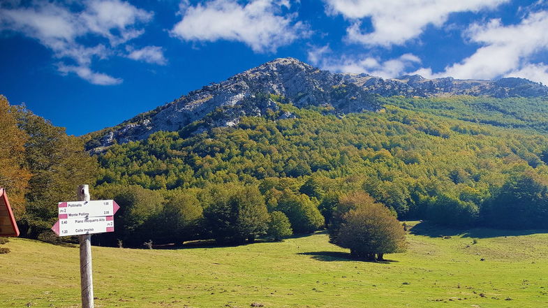 «Il Presidente della Basilicata Bardi non blocchi il Piano del Parco Nazionale del Pollino»