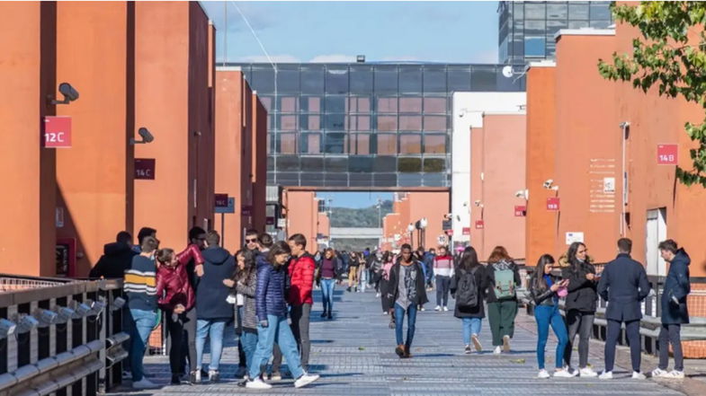 Unical, assegnate 33 borse a studenti in condizioni di svantaggio