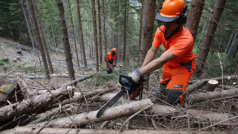 I sindacati proclamano lo stato di agitazione dell'intero settore forestale calabrese