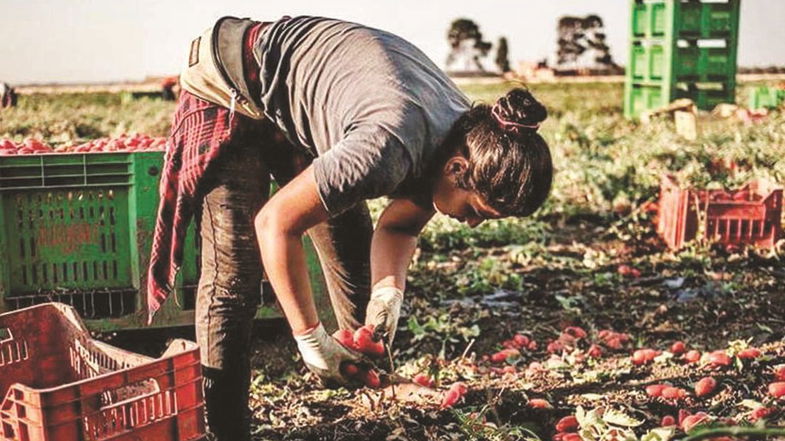 Dipendenti Agrintesa di Castrovillari, i sindacati di categoria annunciato lo sciopero generale 