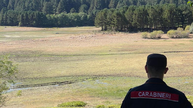 Circolazione aree protette Parco della Sila: fermato un soggetto