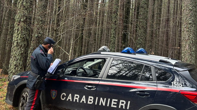 Esercizio venatorio in aree non consentite nel Parco della Sila: fermati 3 uomini