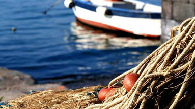 Pesca calabrese, si è insediato il Tavolo Azzurro per rilanciare il settore ittico