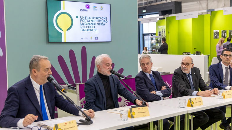 Un filo d'oro che porta al futuro: la sfida dell'olio calabrese