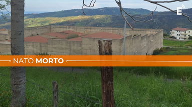 L'ecomostro di Cropalati finisce nel mirino del sindaco Citrea: vuole trasformarlo in un centro sportivo