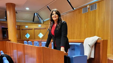 Straface presenta i numeri della «normalizzazione della sanità calabrese» 