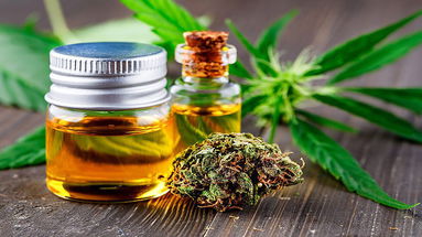 Stop alla cannabis light, Cgil: «Si favorirà mercato nero. Un pericolo per lavoratori e cittadini»