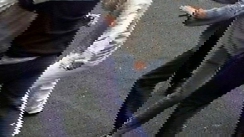 Violenza a Schiavonea, rissa tra extracomunitari in Piazza Portofino