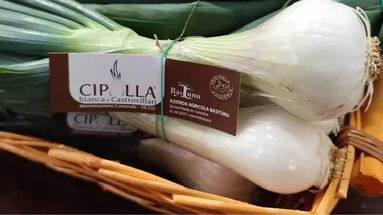 Seminario sulla Cipolla Bianca al 