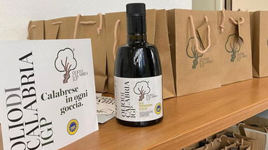Il Consorzio Olio di Calabria Igp pronto a conquistare TuttoFood Milano