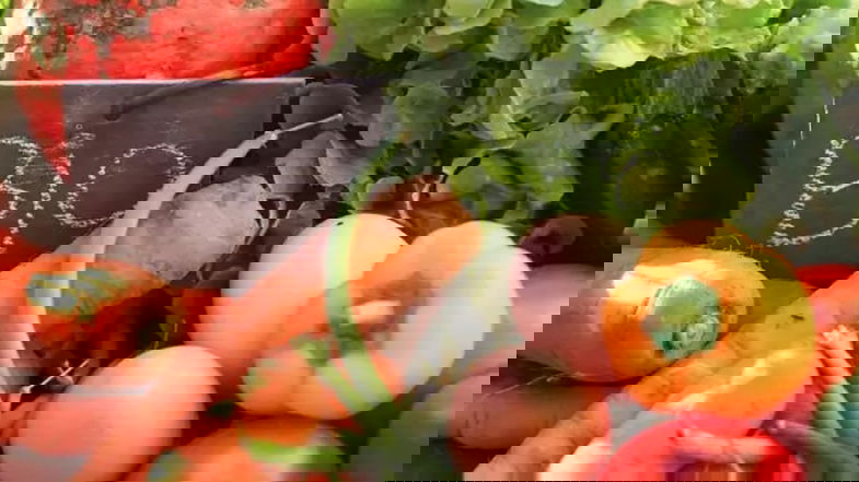 L'agricoltura calabrese è sempre più bio: Calabria seconda solo alla Toscana
