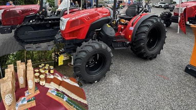 Laino Borgo: ritorna Agrilaos, la fiera che celebra il territorio 
