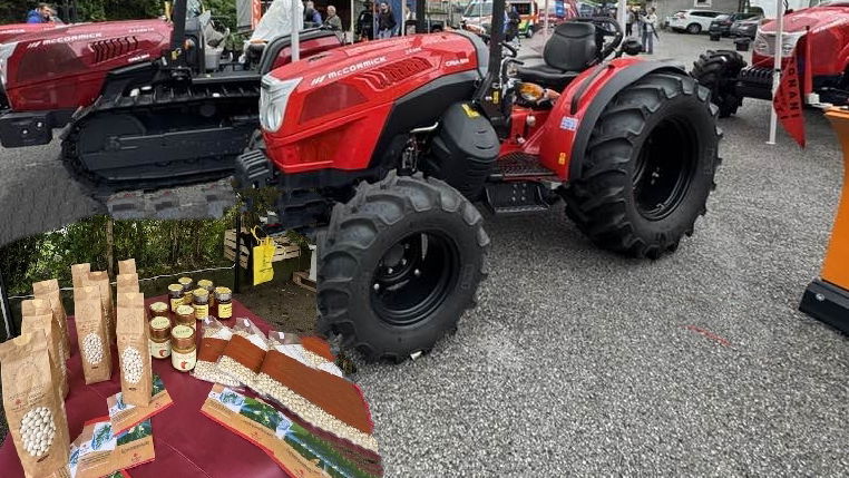 Laino Borgo: ritorna Agrilaos, la fiera che celebra il territorio 