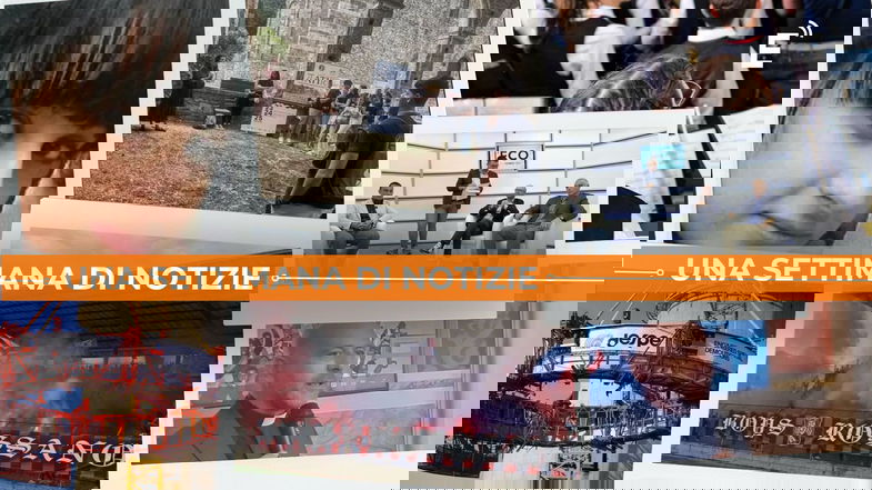 Due verità scomode: nella Sibaritide-Pollino aumenta la povertà e lo Stato è lontano anche dalle vittime di femminicidio