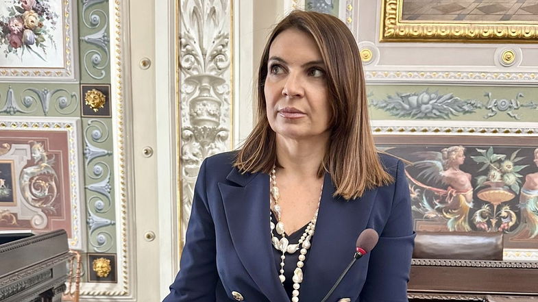 Referendum, Madeo: «Siate folli: l'8 e il 9 giugno andate a votare»
