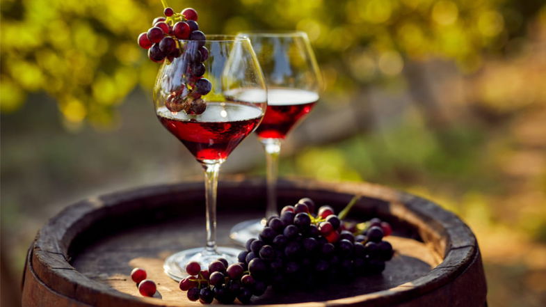 Il Merano Wine Fest arriva a Cirò per celebrare la viticoltura calabrese