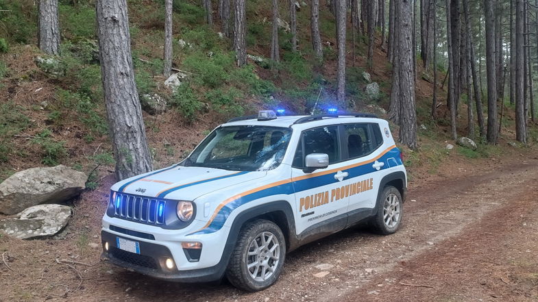 Si perde nei boschi della Sila, ritrovato dalla Polizia Provinciale