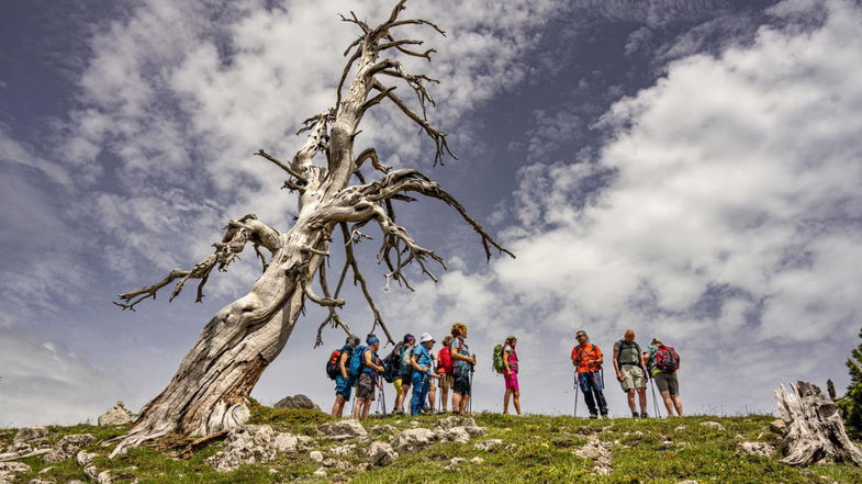 Domenica 15 giugno una giornata col Gruppo Speleo del Pollino